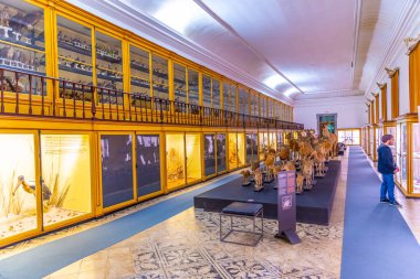 Coimbra, Portekiz, 21 Mayıs 2019: Müzenin Zoolojik bölümü