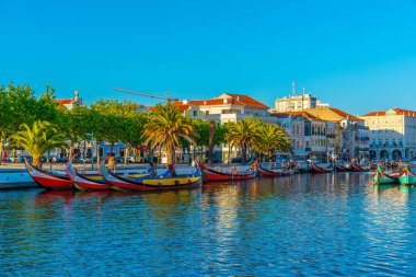Aveiro, Portekiz, 21 Mayıs 2019: Moliceiro gemileri kıyıya yanaşıyor