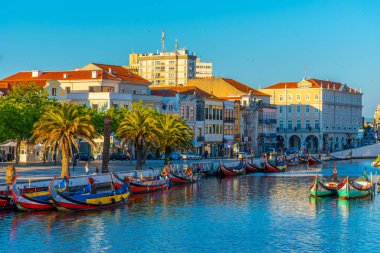 Aveiro, Portekiz, 21 Mayıs 2019: Moliceiro gemileri kıyıya yanaşıyor