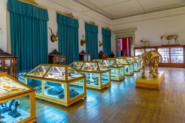 COIMBRA, PORTUGAL, MAY 21, 2019: Zoological section of the museu — Stock Photo, Image