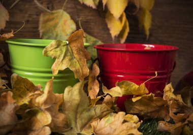 Çim multicolour kova