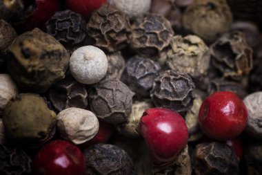 Çok renkli biber, makro