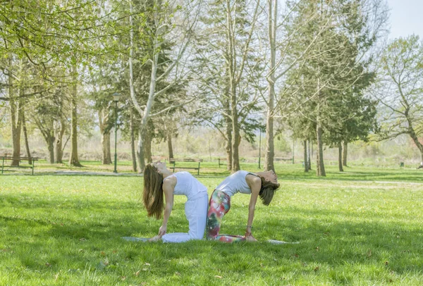 Two girls doing yoga — Zdjęcie stockowe