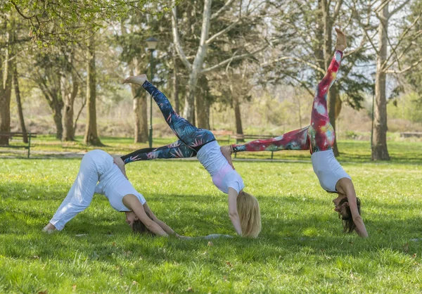 Skupina holka dělá jógu — Stock fotografie