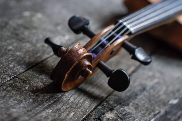 Part of the violin — Stock Photo, Image