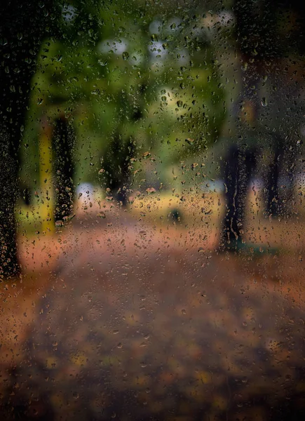 秋天的雨天 — 图库照片