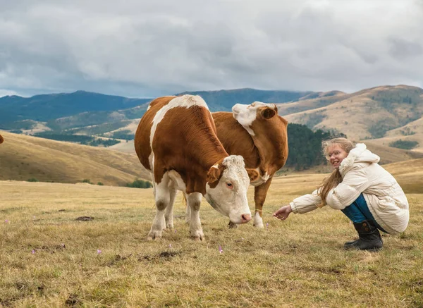 Chica con vacas — Foto de Stock