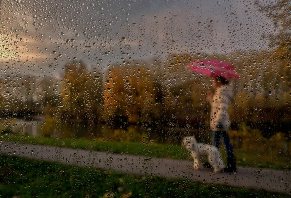 Girl with dog and red umbrella