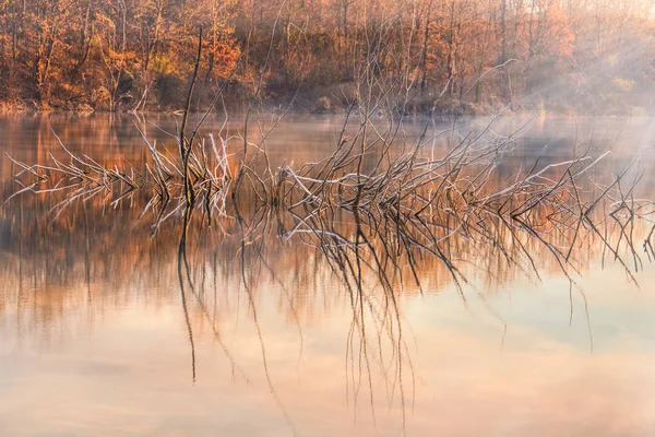 Morgen auf dem Fluss — Stockfoto