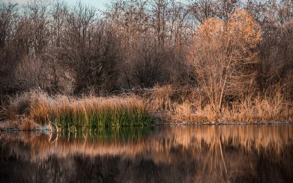 Mañana en el río — Foto de Stock