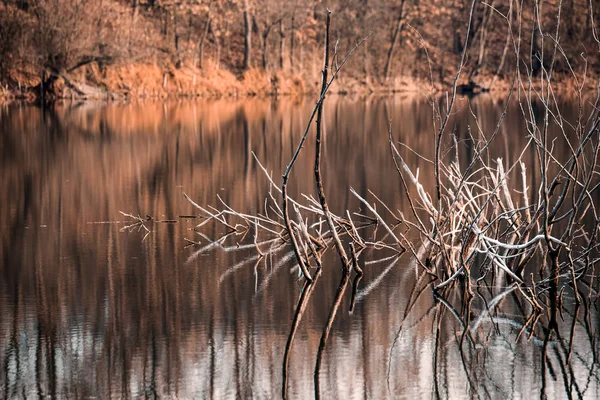 Morgen auf dem Fluss — Stockfoto