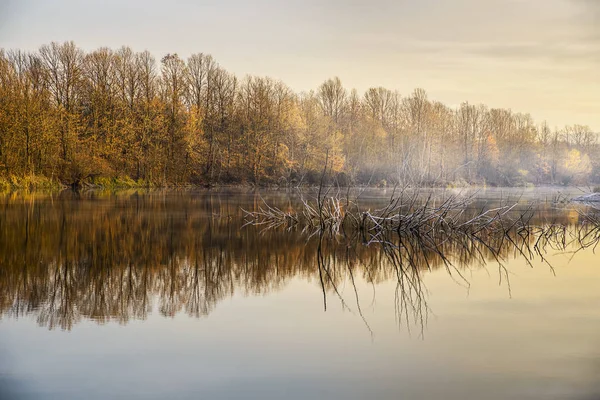 Morning on the river — Stock Photo, Image