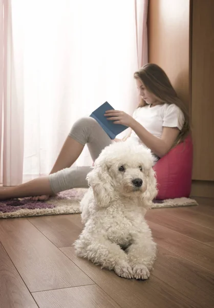 Fata în camera ei cu un câine — Fotografie, imagine de stoc