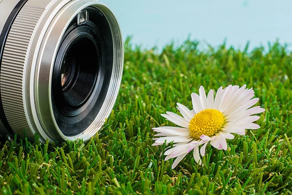 Camera en witte bloem — Stockfoto