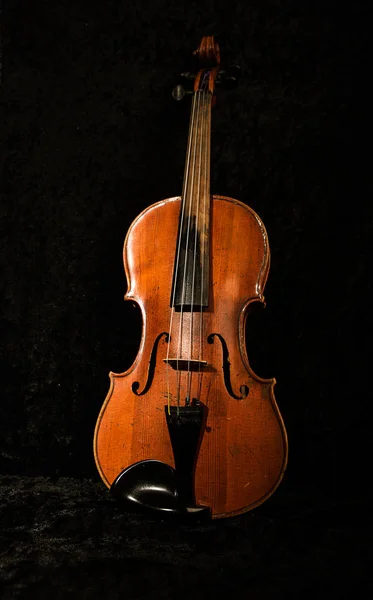 Старая красная скрипка — стоковое фото