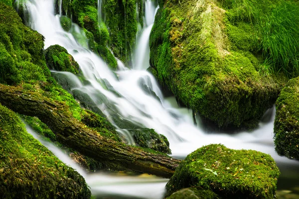 新鲜的绿色青苔的石头上 长时间曝光软水寻找山溪叶栅 — 图库照片