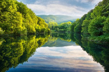 Göl kenarında çok güzel bir sabah