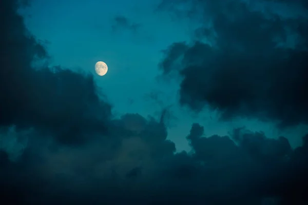Night sky — Stock Photo, Image