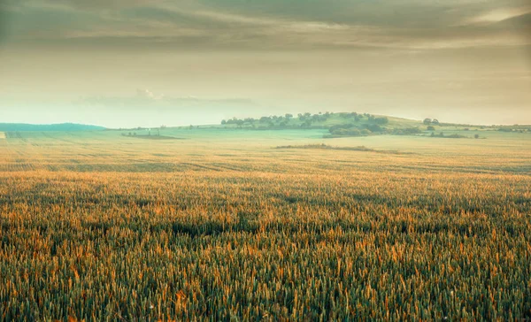 Paisagem matinal — Fotografia de Stock