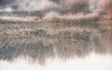 Güzel Doğa Sahneleri