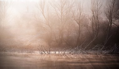 Güzel Doğa Sahneleri