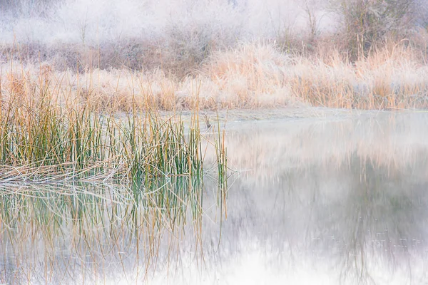 Schöne Naturszenen — Stockfoto