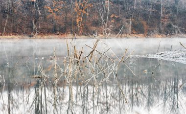 Güzel Doğa Sahneleri