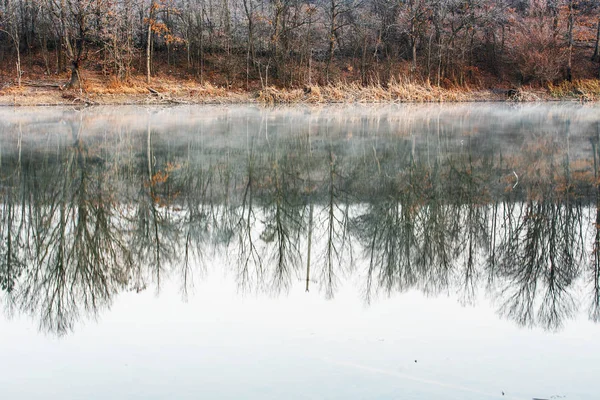 Beautiful nature scenes — Stock Photo, Image