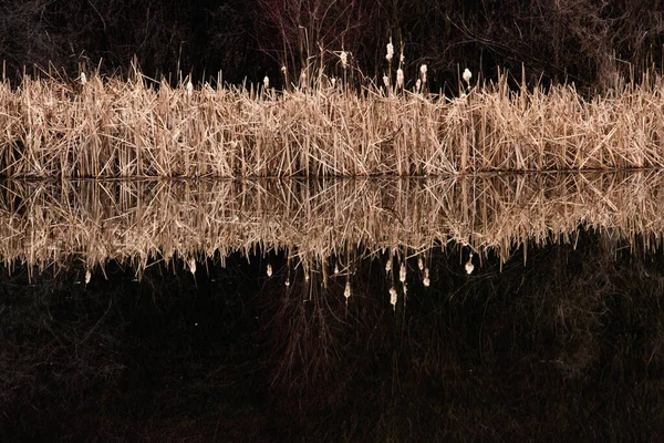 Morgen auf dem Fluss — Stockfoto