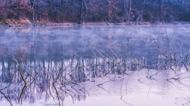 Güzel Doğa Sahneleri