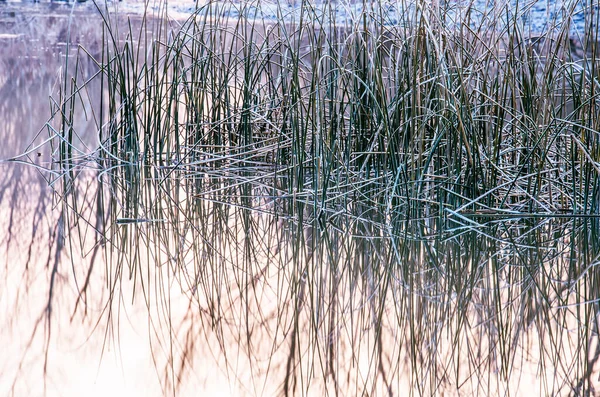 Beautiful nature scenes — Stock Photo, Image