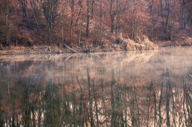 Güzel Doğa Sahneleri