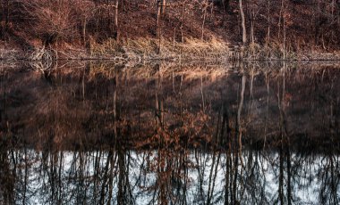 Güzel Doğa Sahneleri