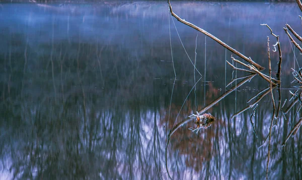 Belles scènes de nature — Photo