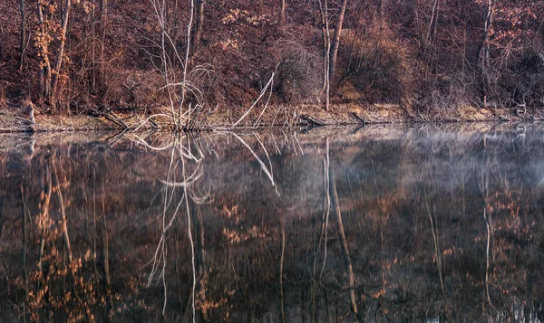 Güzel Doğa Sahneleri — Stok fotoğraf