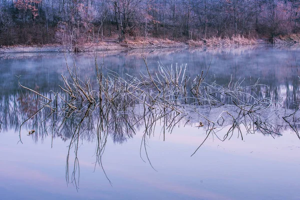 美しい自然風景 — ストック写真