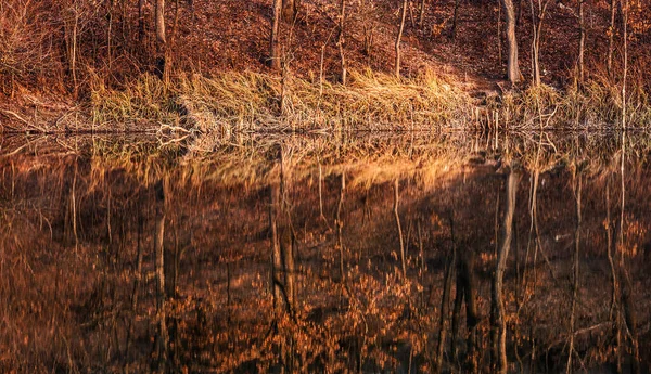 Schöne Naturszenen — Stockfoto