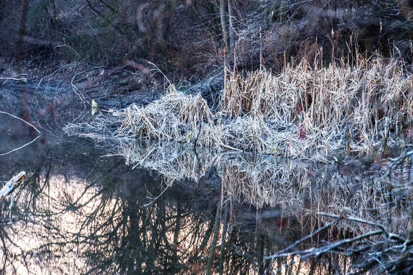 Prachtige natuurlandschappen — Stockfoto