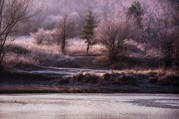 Krásné přírodní scenérie — Stock fotografie