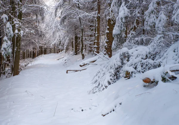 Estrada com neve — Fotografia de Stock