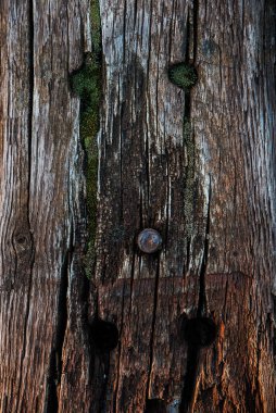 Yerdeki eski tahta parçalanmış.