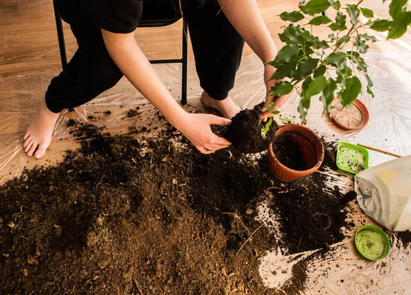 Fille Dans Une Chambre Sur Sol Planté Des Plantes Dans — Photo