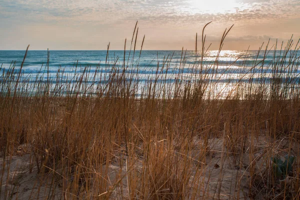 Morgen Scene Havet - Stock-foto