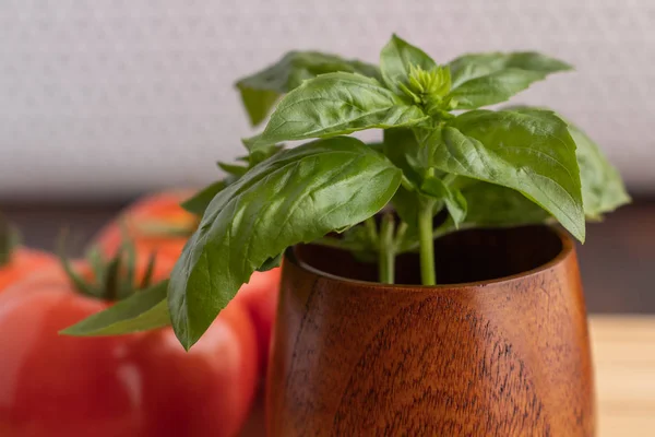 Ahşap kasede fesleğen yaprakları ahşap rafta ve arka planda domatesler var.