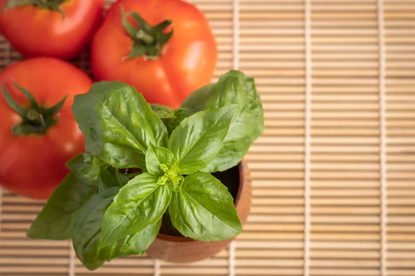 Ahşap kasede fesleğen yaprakları ahşap rafta ve arka planda domatesler var.