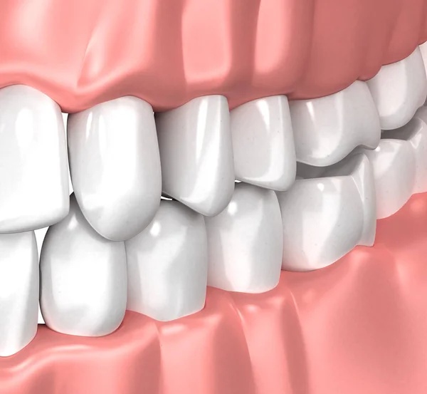 Анатомия рта человека жвачки - 3d иллюстрация — стоковое фото