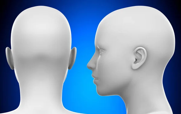 Blank White Female Head - Side and Back view 3D illustration — Stock Photo, Image