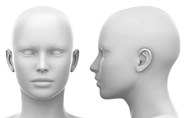 Blank White Female Head - Side and Front view — Stock Photo, Image