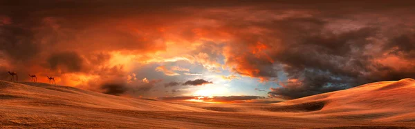 Fiery sky over the desert — Stock Photo, Image