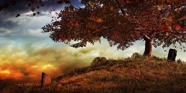 Sonbaharda bir tepe üzerinde bir ağaç — Stok fotoğraf